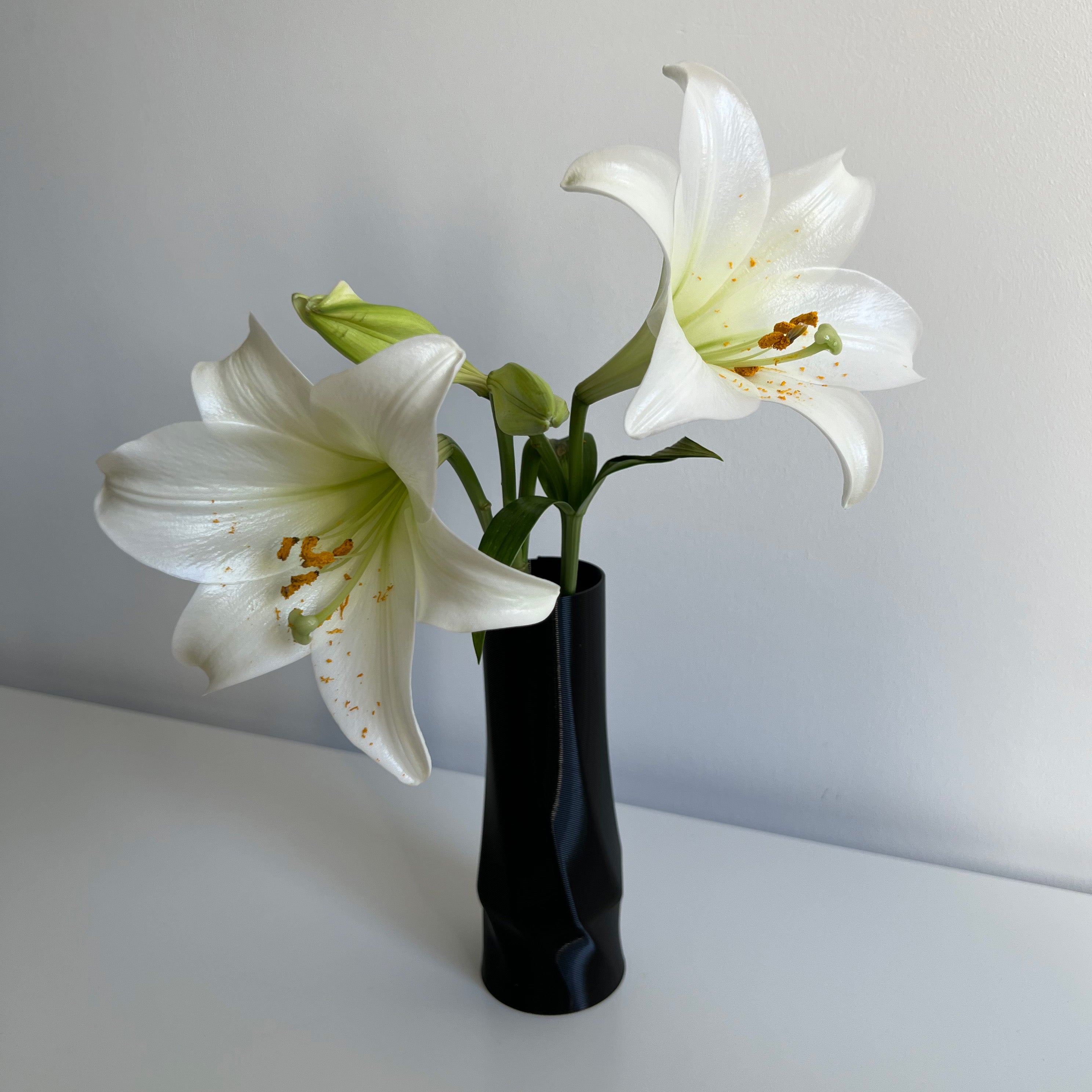 The Vase - Circle (basic)