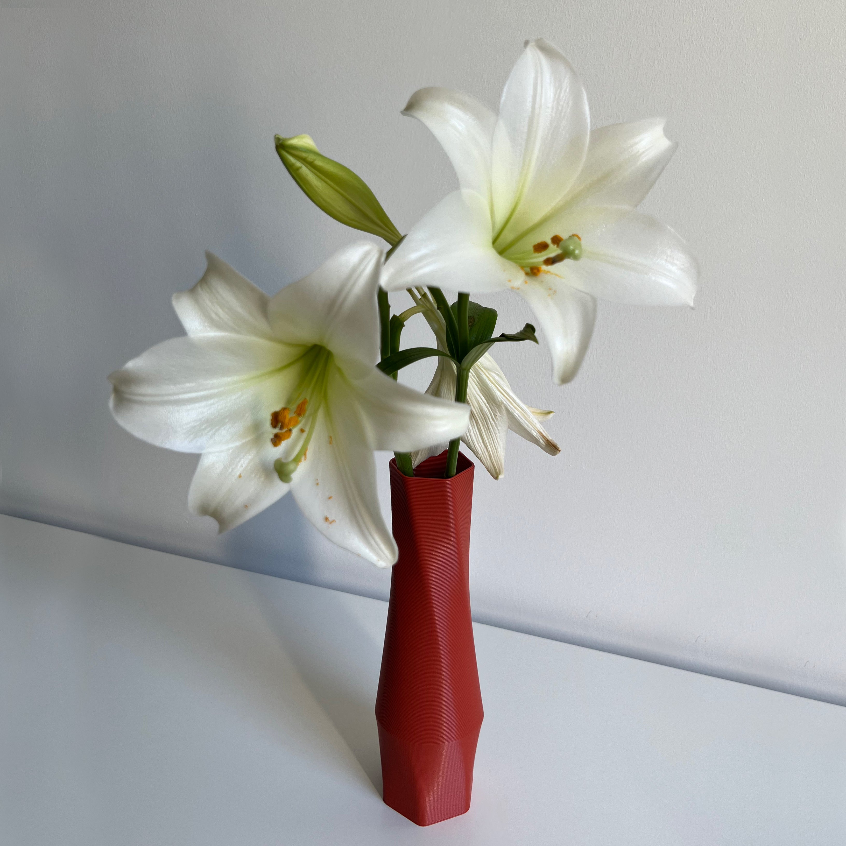 the vase - hexagon (basic) - terracotta