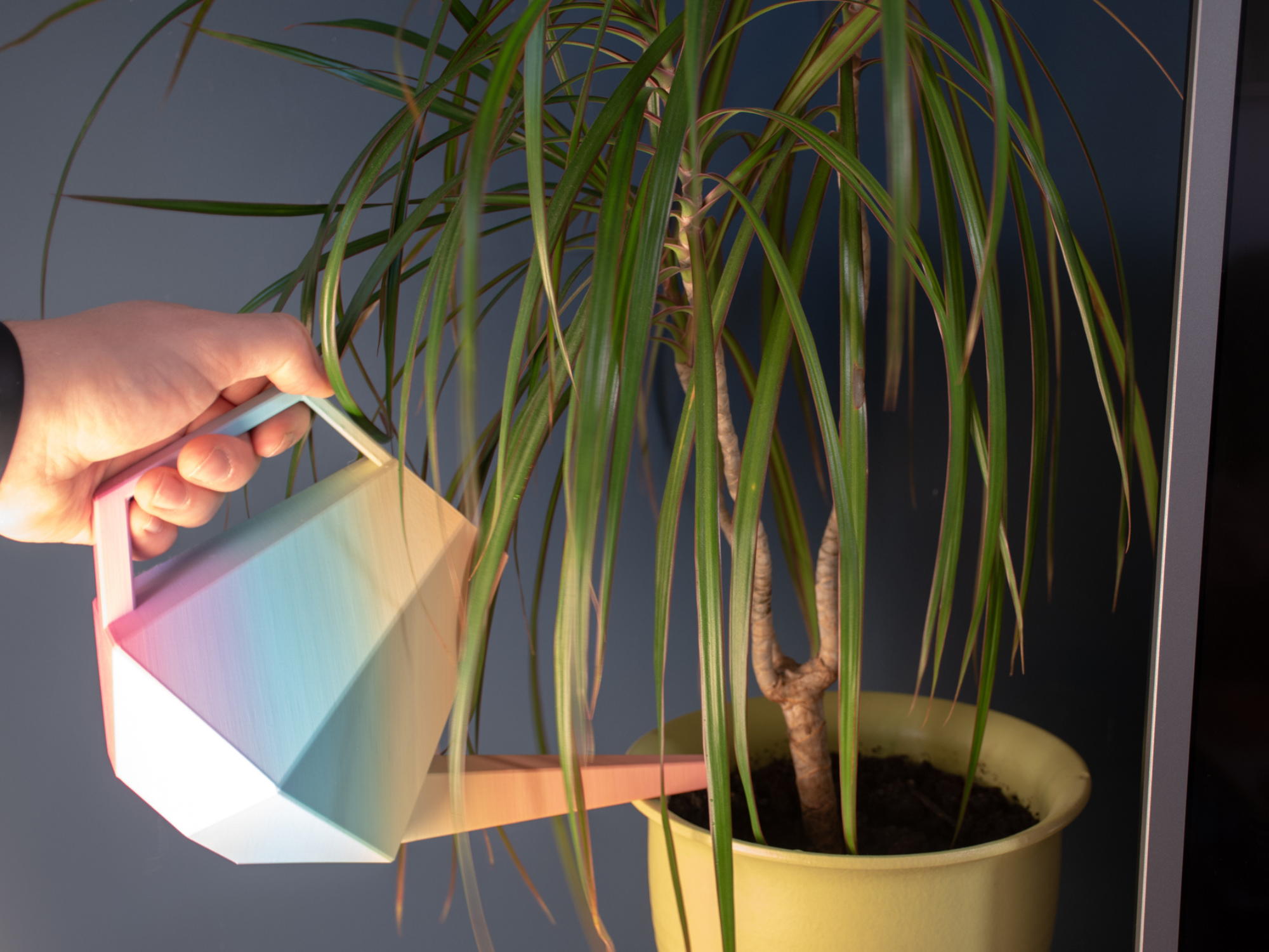 Watering_Can_Osteredition