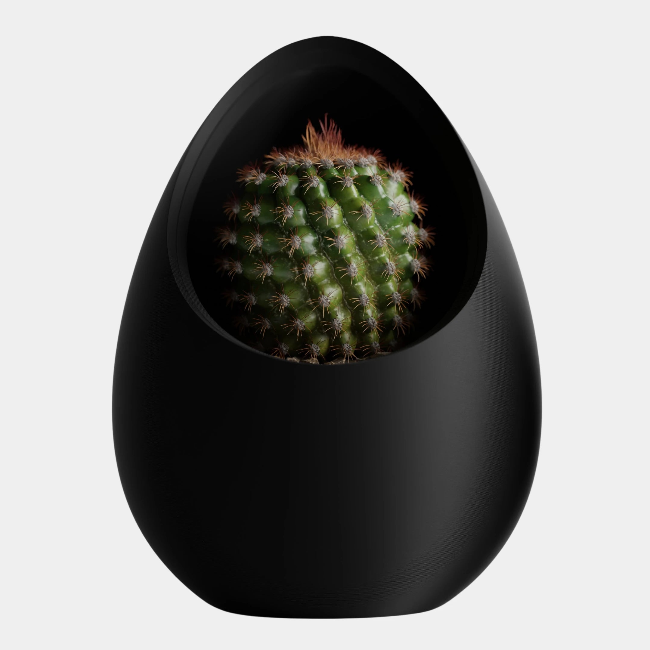 Nuvia Planter - Inspired by the idea of a nest.