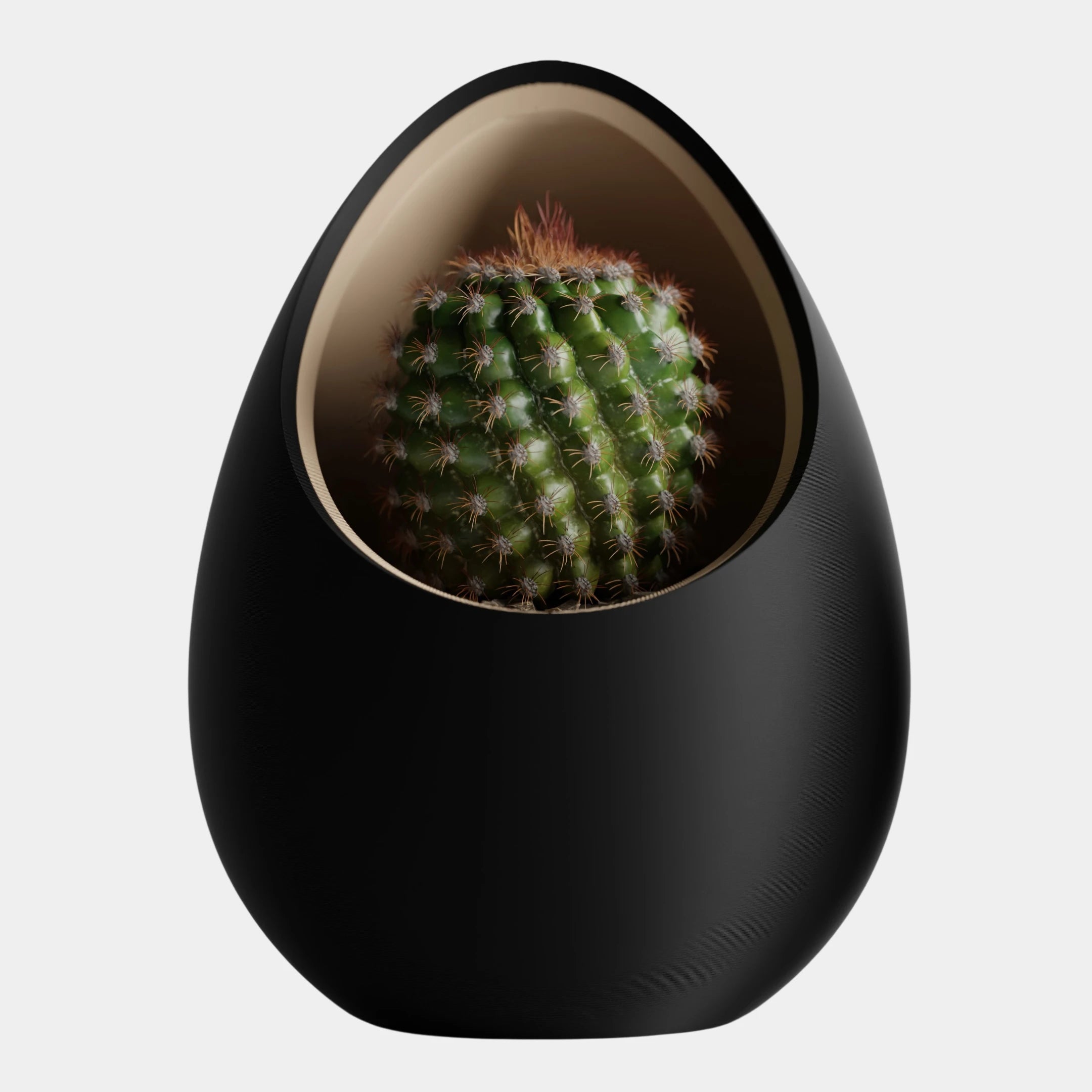 Nuvia Planter - Inspired by the idea of a nest.
