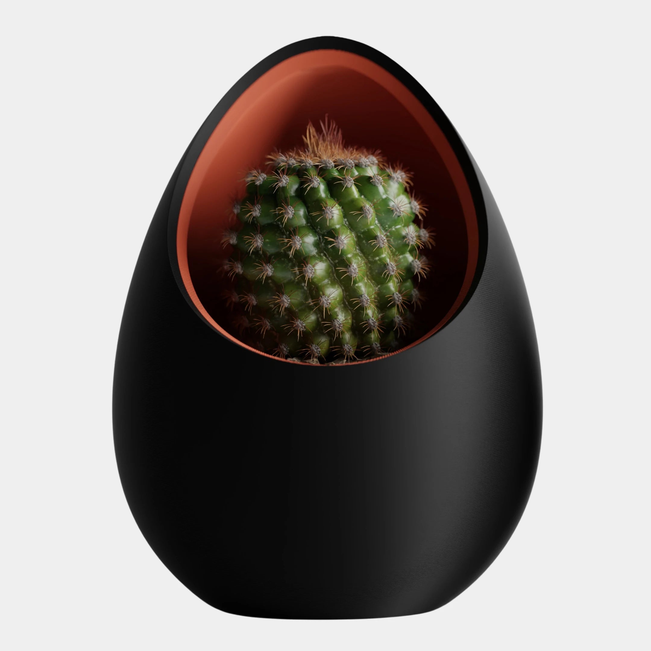 Nuvia Planter - Inspired by the idea of a nest.