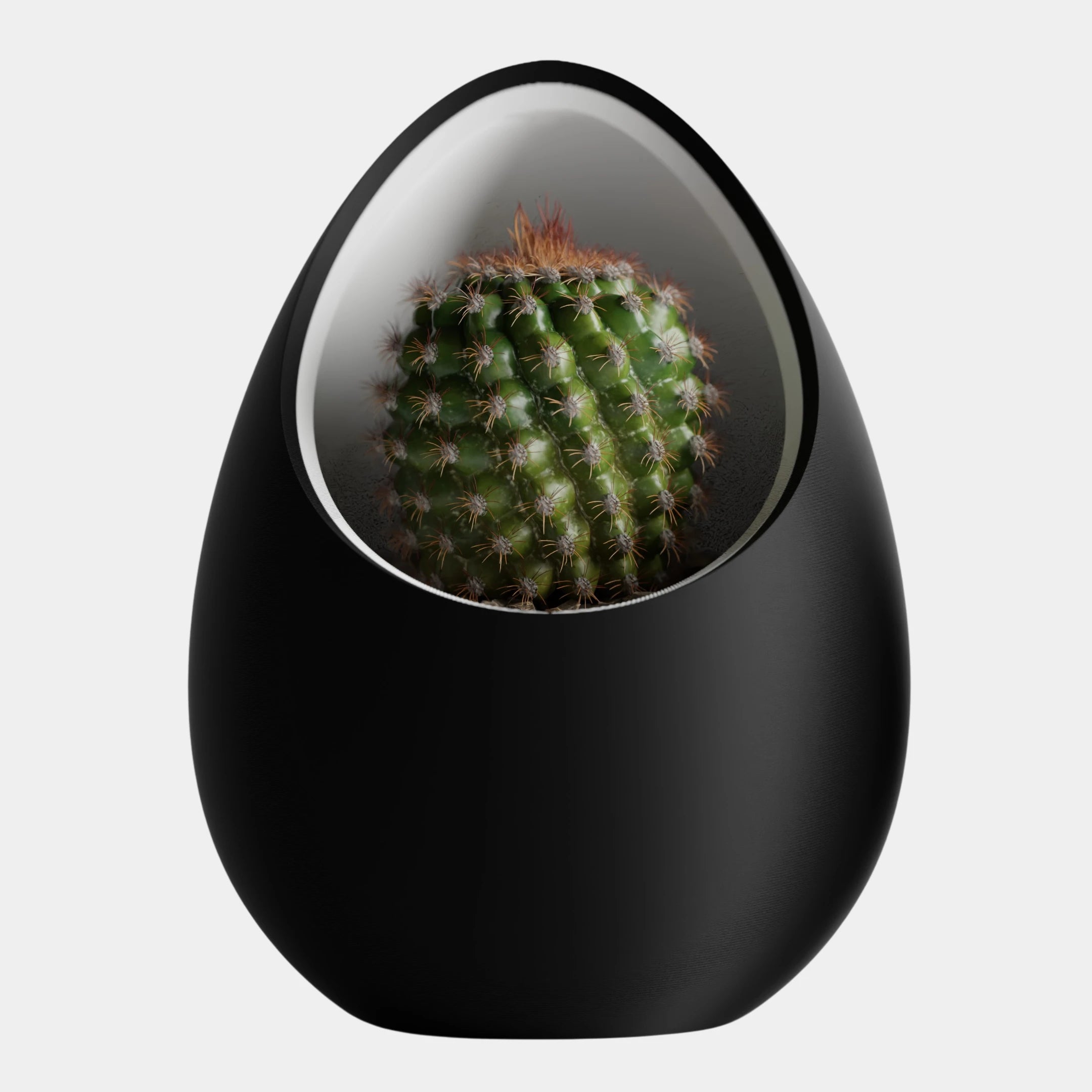 Nuvia Planter - Inspired by the idea of a nest.