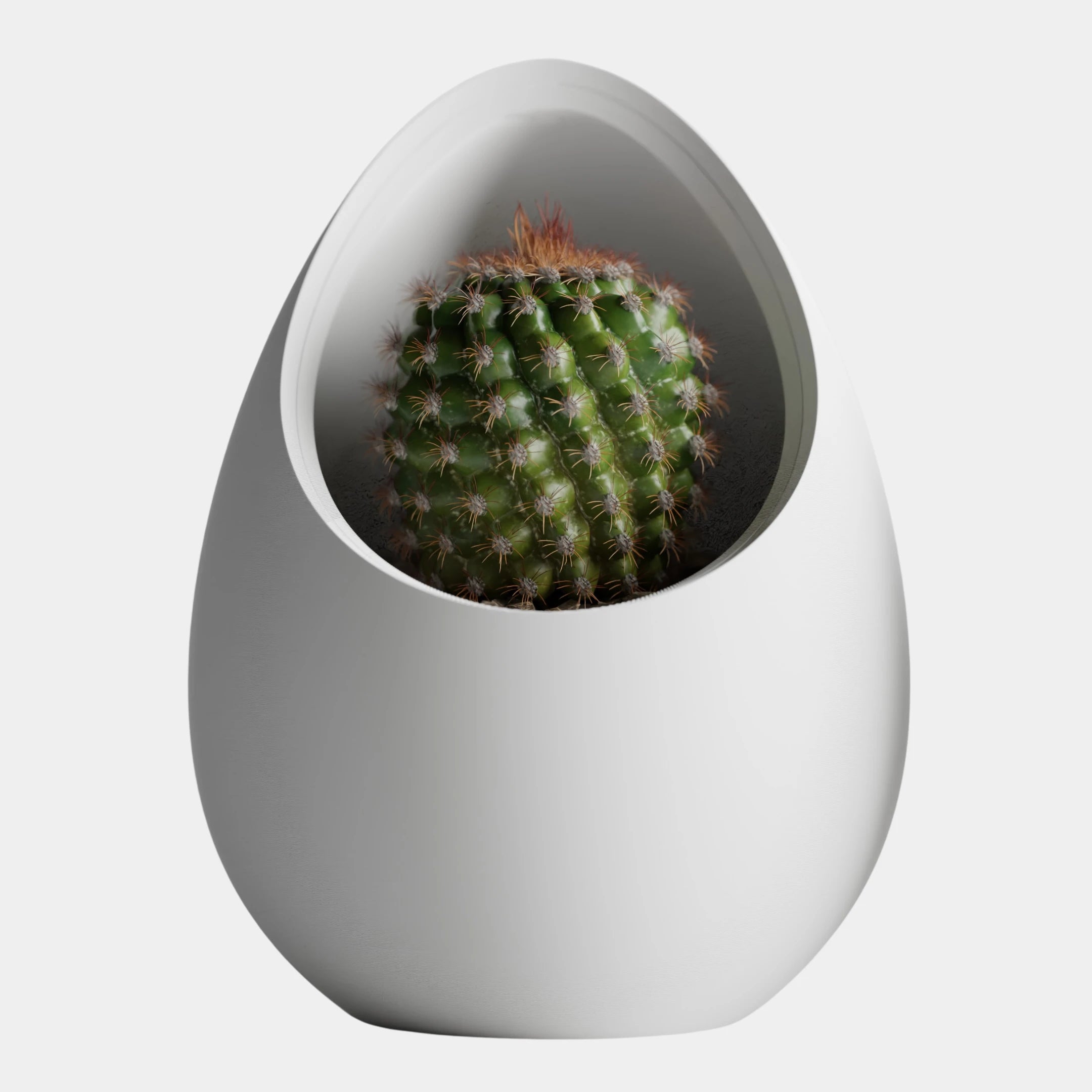 Nuvia Planter - Inspired by the idea of a nest.