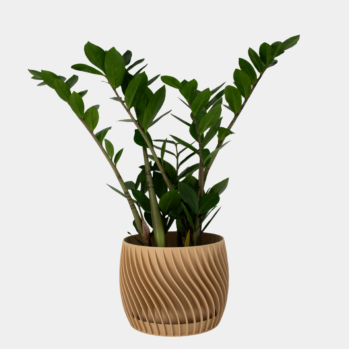 Plant Pot – mit integriertem Unterteller