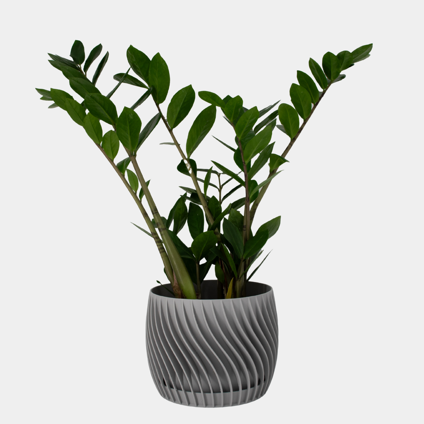 Plant Pot – mit integriertem Unterteller