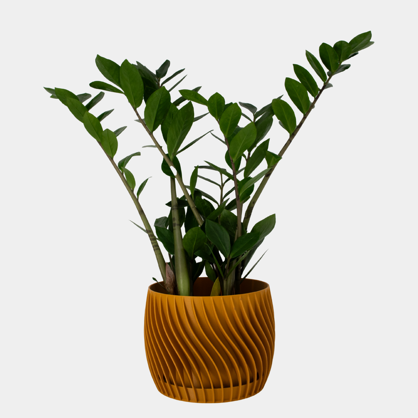Plant Pot – mit integriertem Unterteller