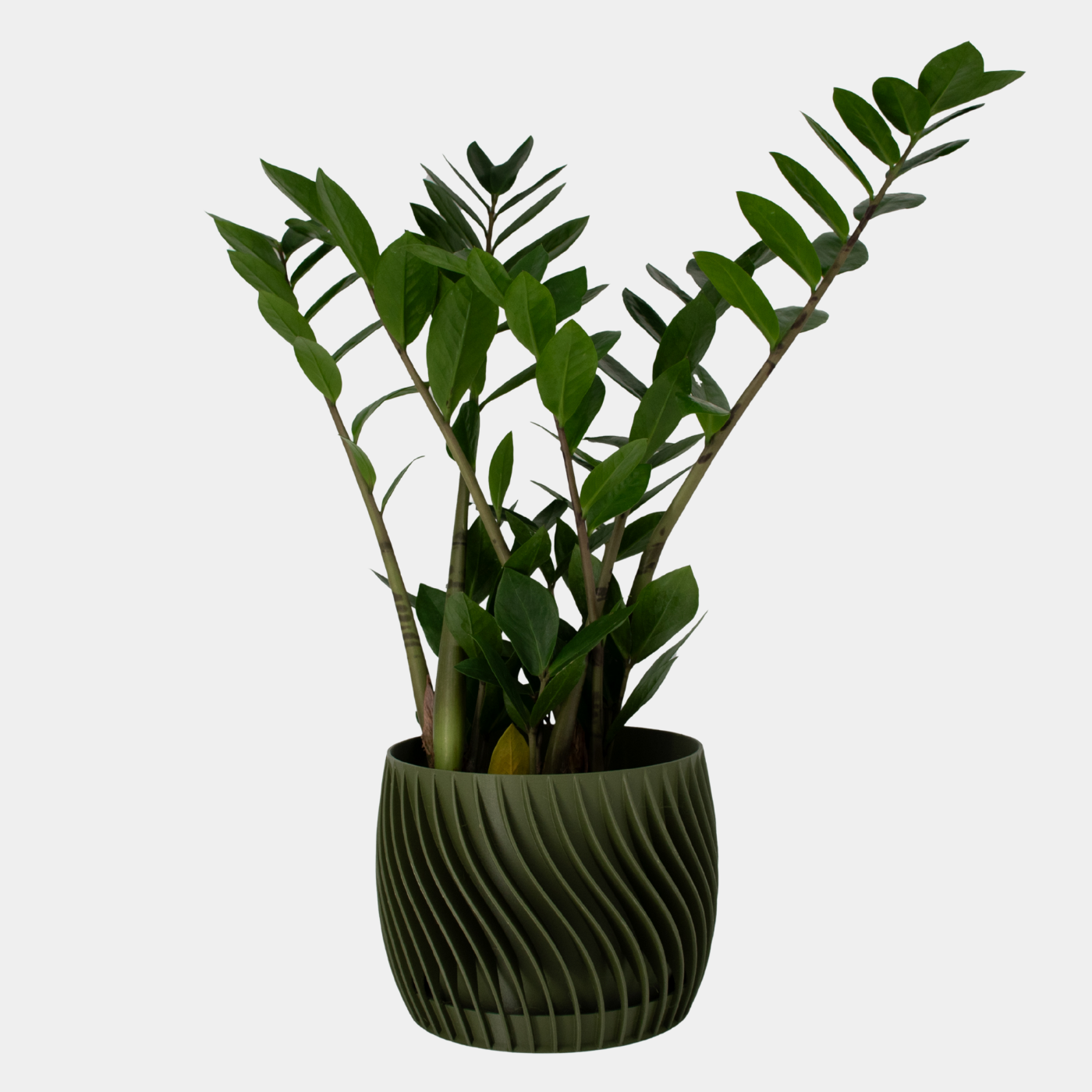 Plant Pot – mit integriertem Unterteller