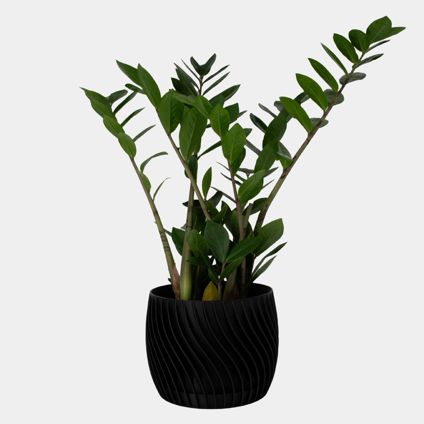 Plant Pot – mit integriertem Unterteller