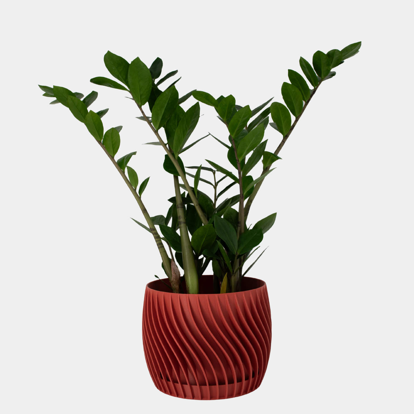 Plant Pot – mit integriertem Unterteller