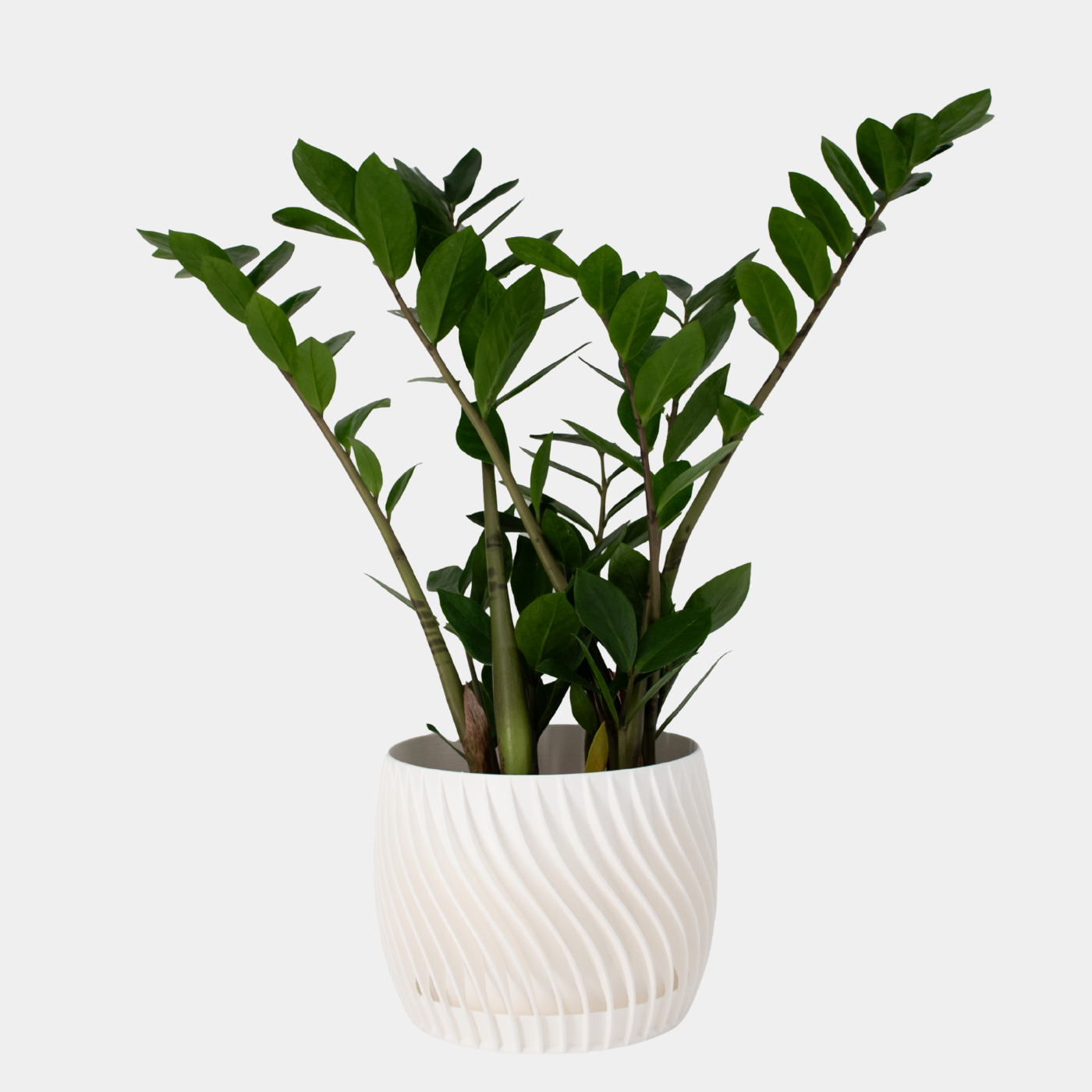 Plant Pot – mit integriertem Unterteller