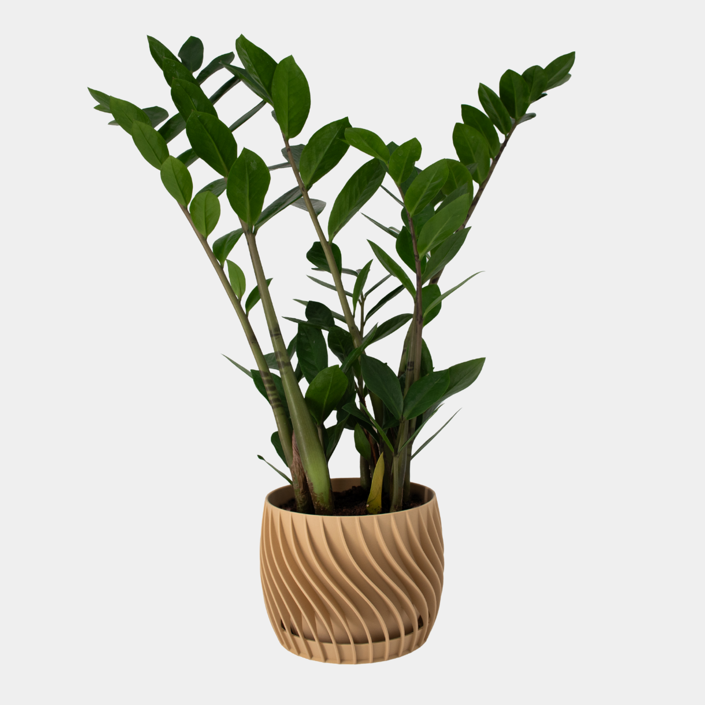 Plant Pot – mit integriertem Unterteller