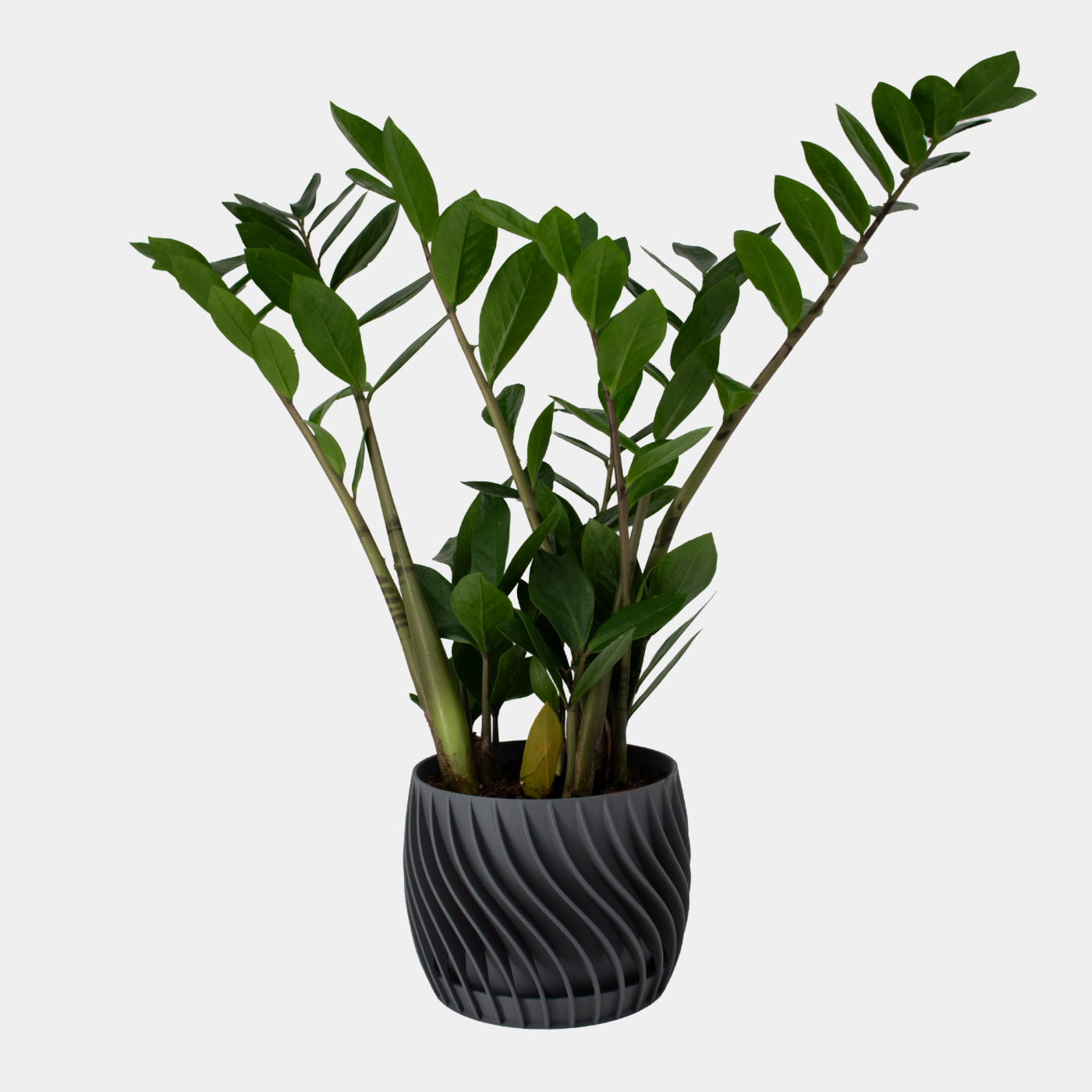 Plant Pot – mit integriertem Unterteller