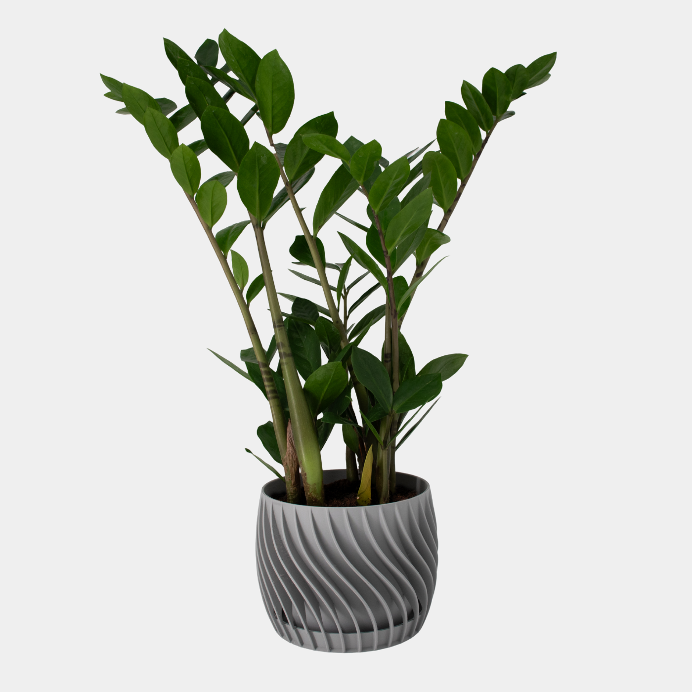 Plant Pot – mit integriertem Unterteller