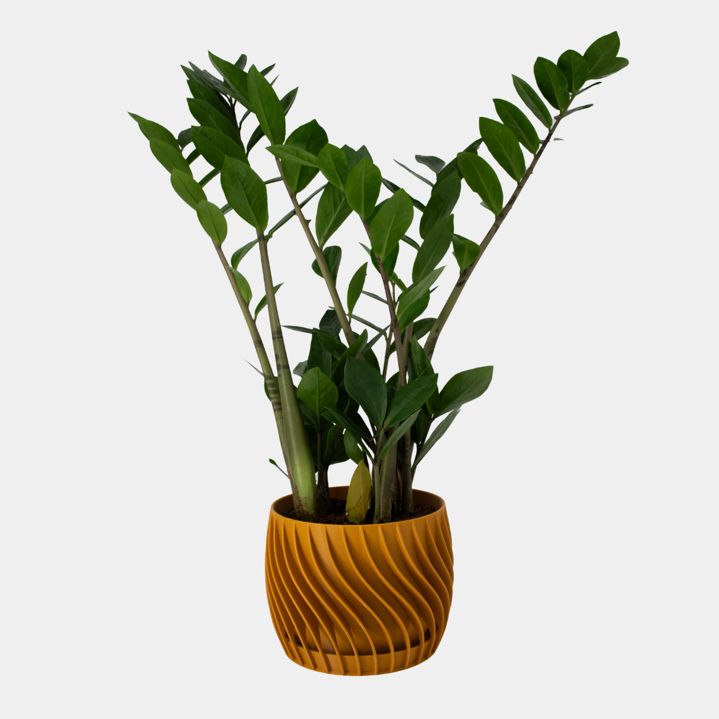Plant Pot – mit integriertem Unterteller