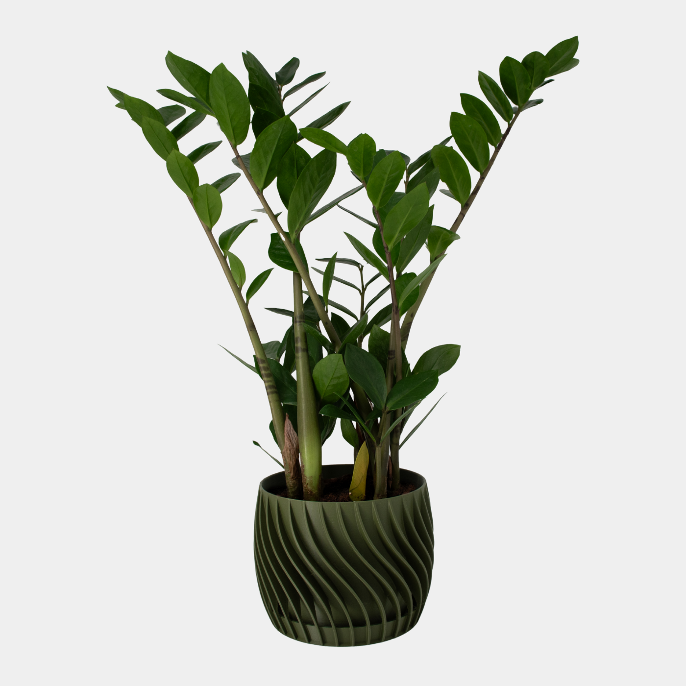 Plant Pot – mit integriertem Unterteller