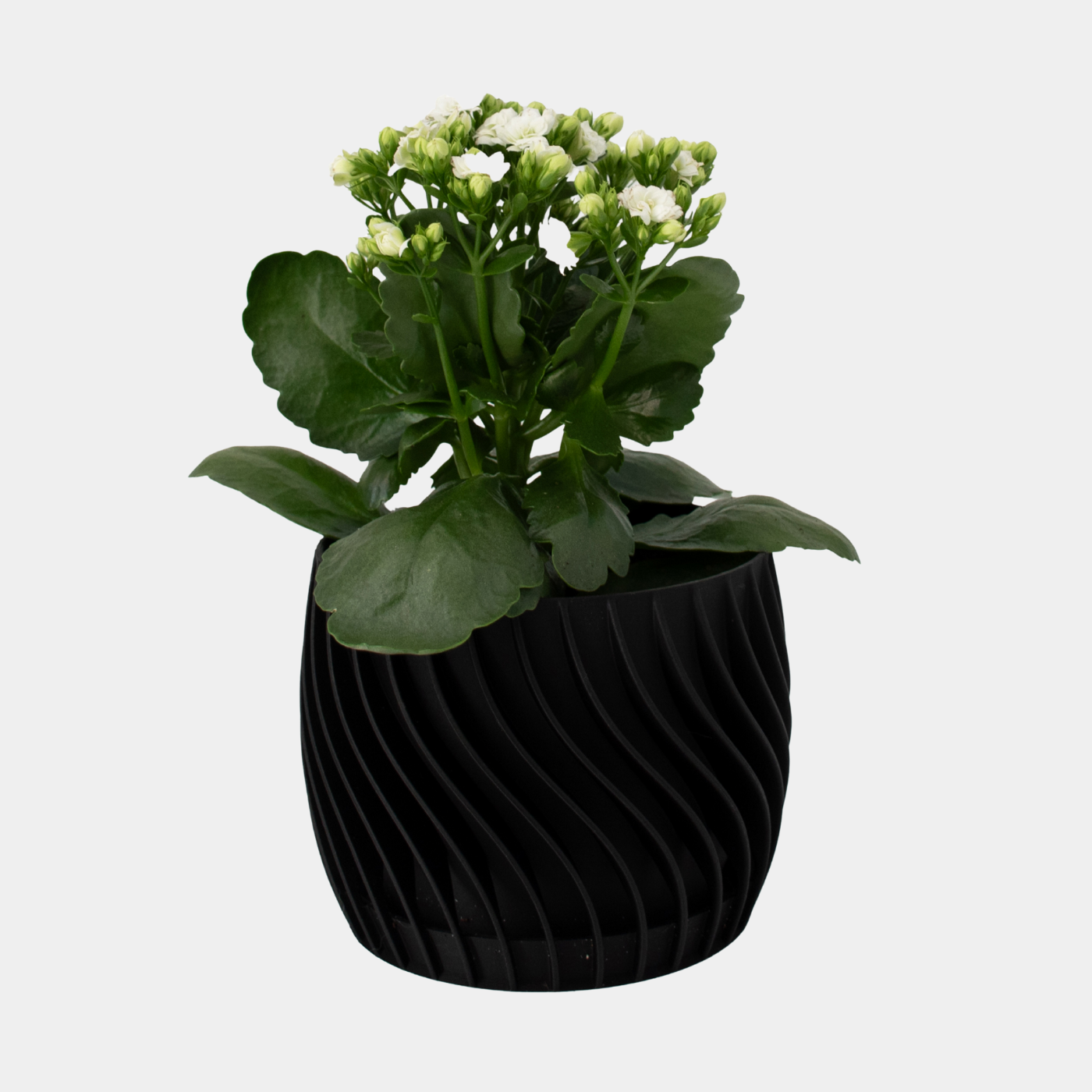 Plant Pot – mit integriertem Unterteller