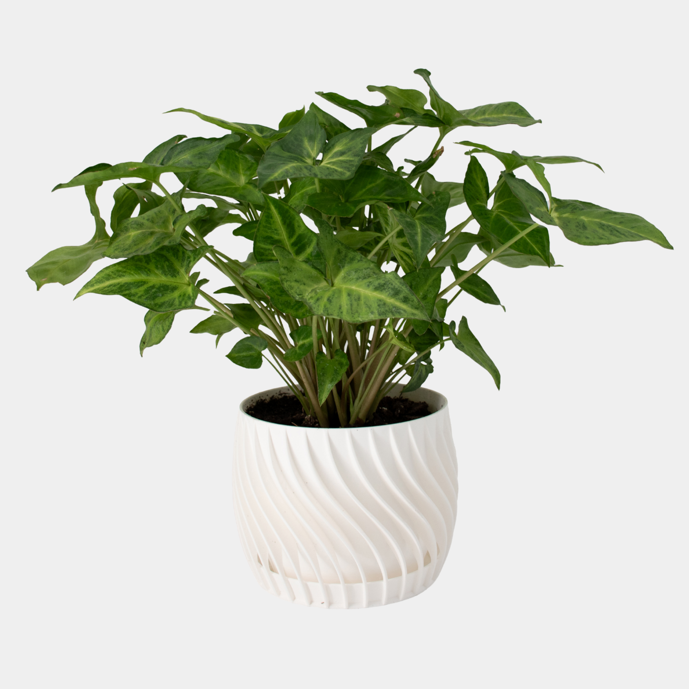 Plant Pot – mit integriertem Unterteller