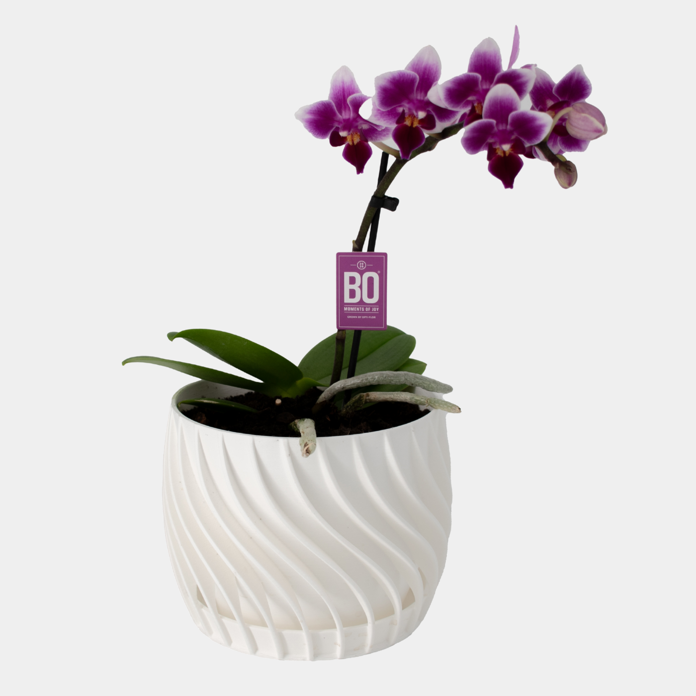 Plant Pot – mit integriertem Unterteller