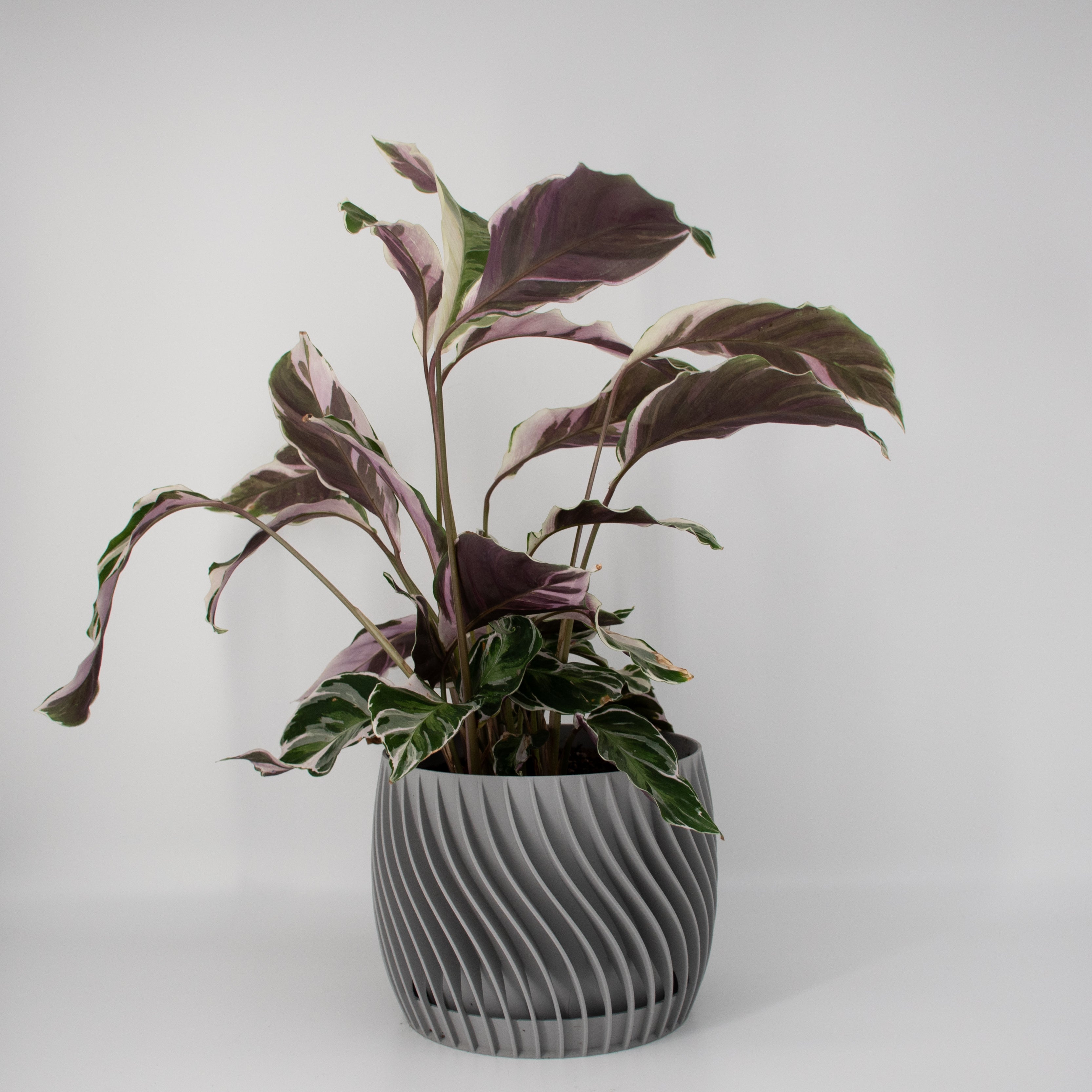 The Plant Pot - Blumentopf mit integriertem Unterteller - Ø18cm - hellgrau