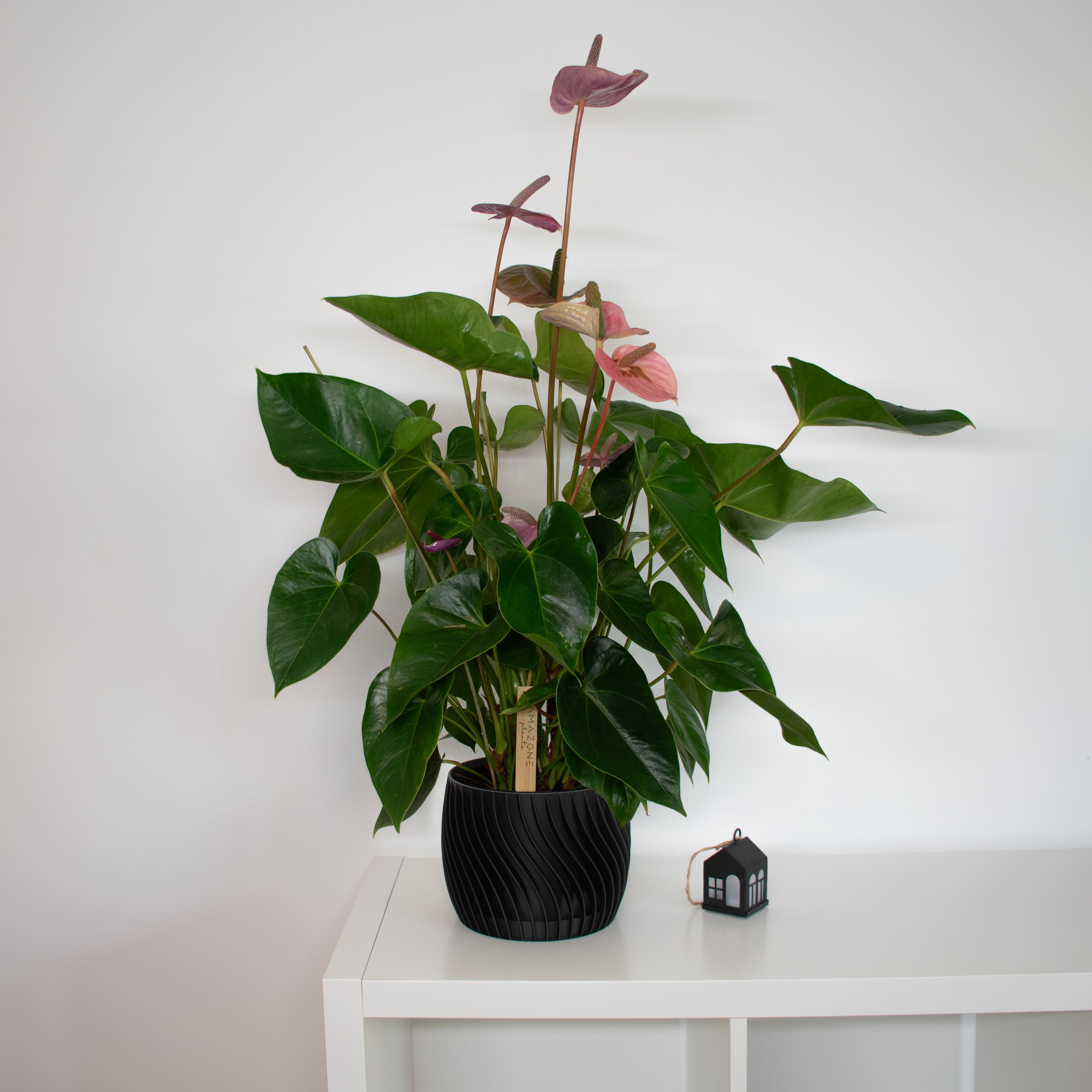 The Plant Pot - Blumentopf mit integriertem Unterteller - Ø18cm - schwarz