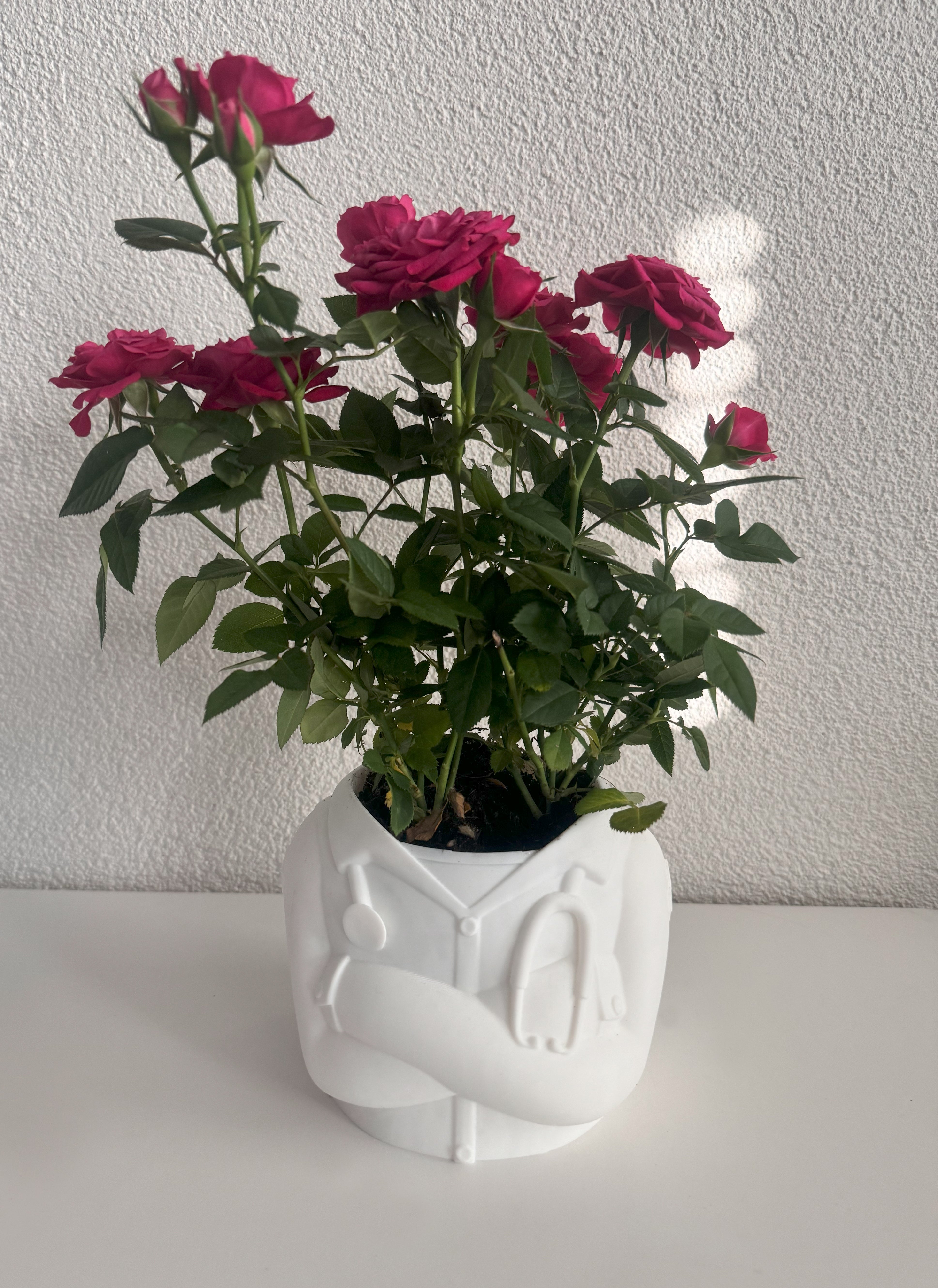 Flora Fashion – Blumentopf im Arztkittel-Stil mit Unterteller
