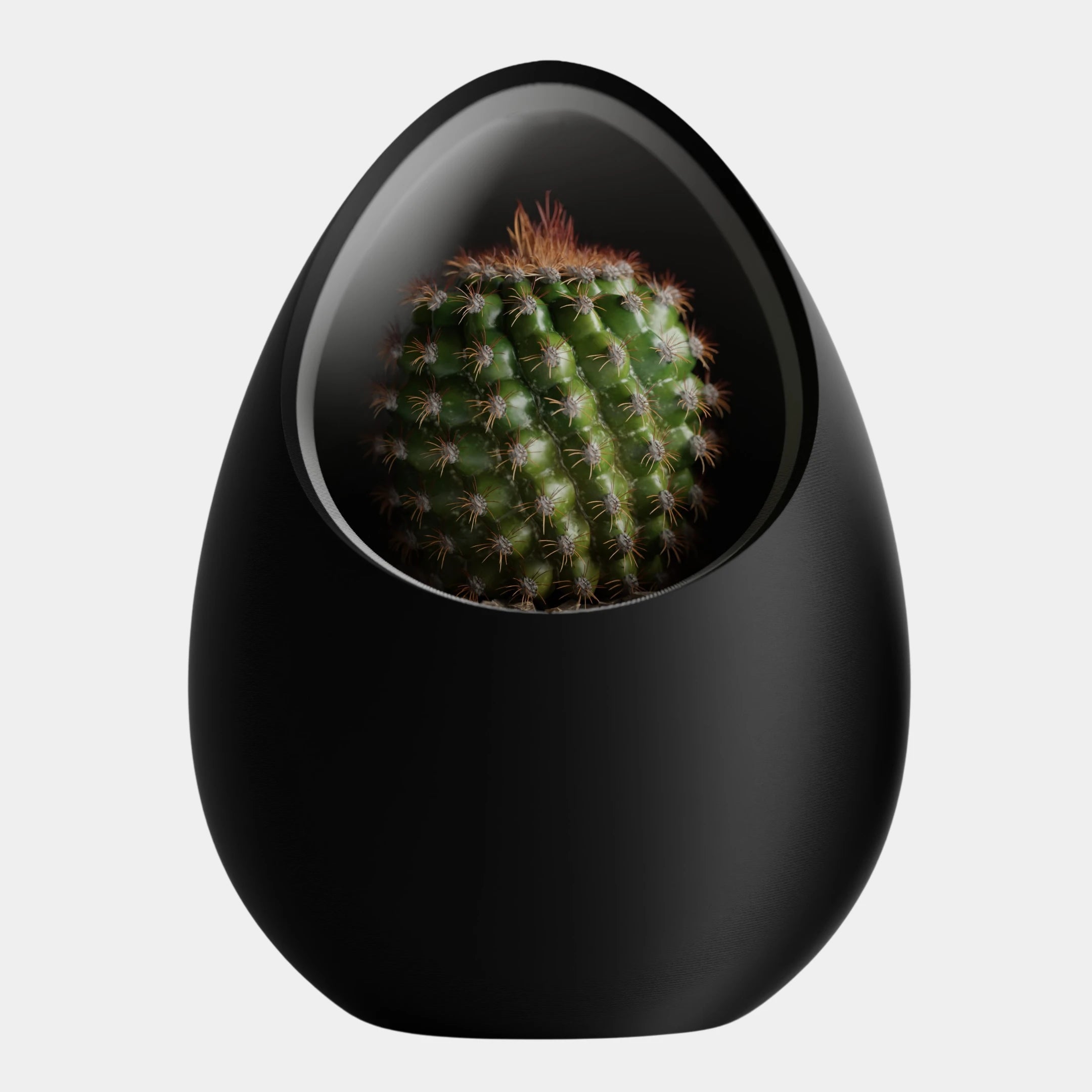 Nuvia Planter - Inspired by the idea of a nest.