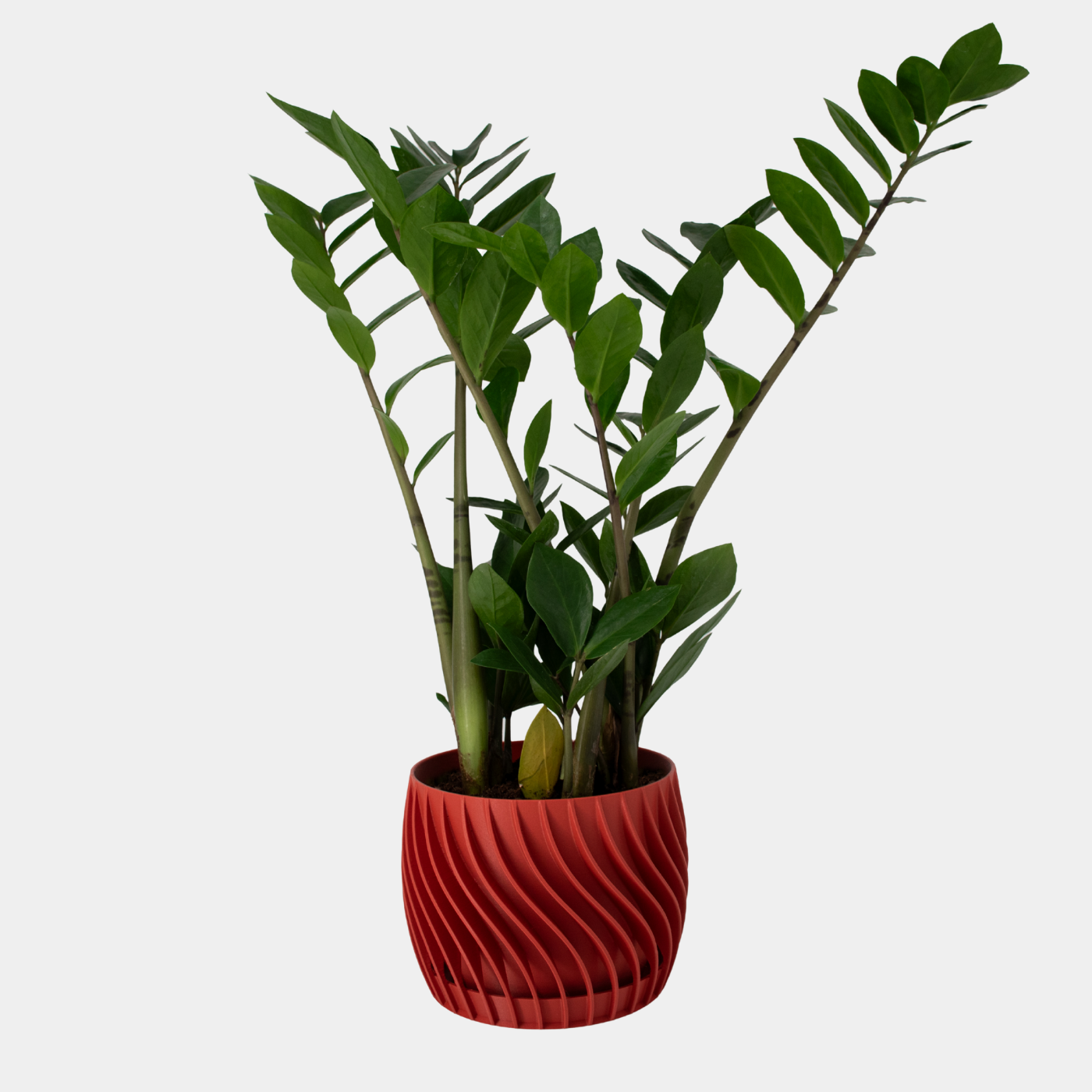 Plant Pot – mit integriertem Unterteller
